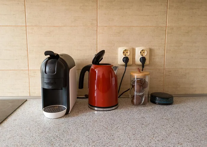 Ospitalier Olimpia Boho 蒂米什瓦拉